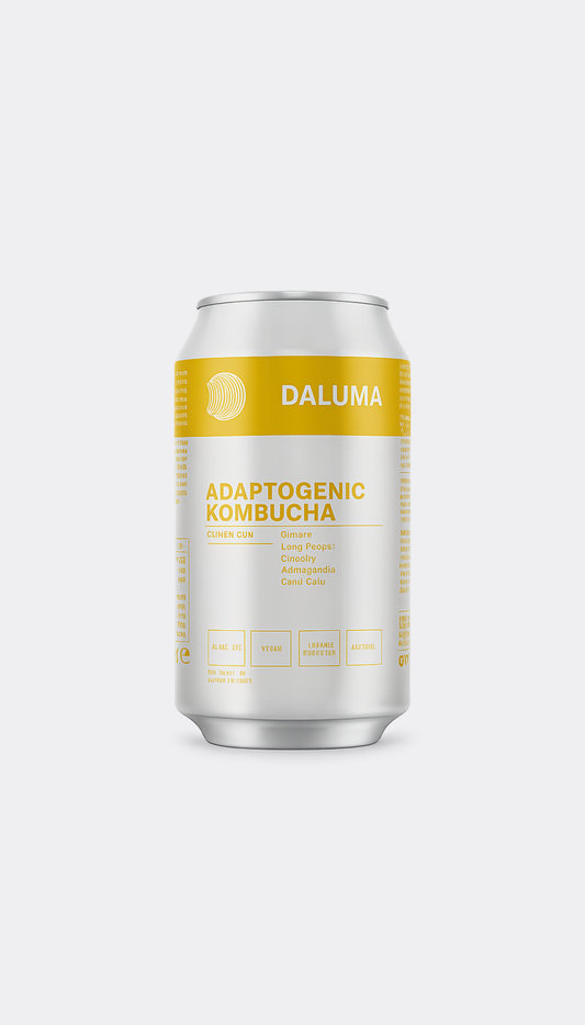 A silver aluminum can of Daluma Adaptogenic Kombucha on a light gray background.
