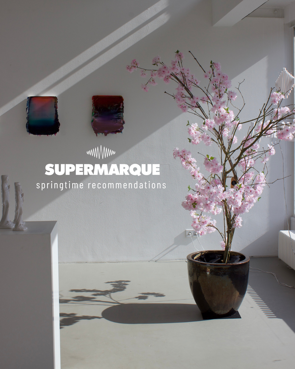 SUPERMARQUE Springtime Recommendations