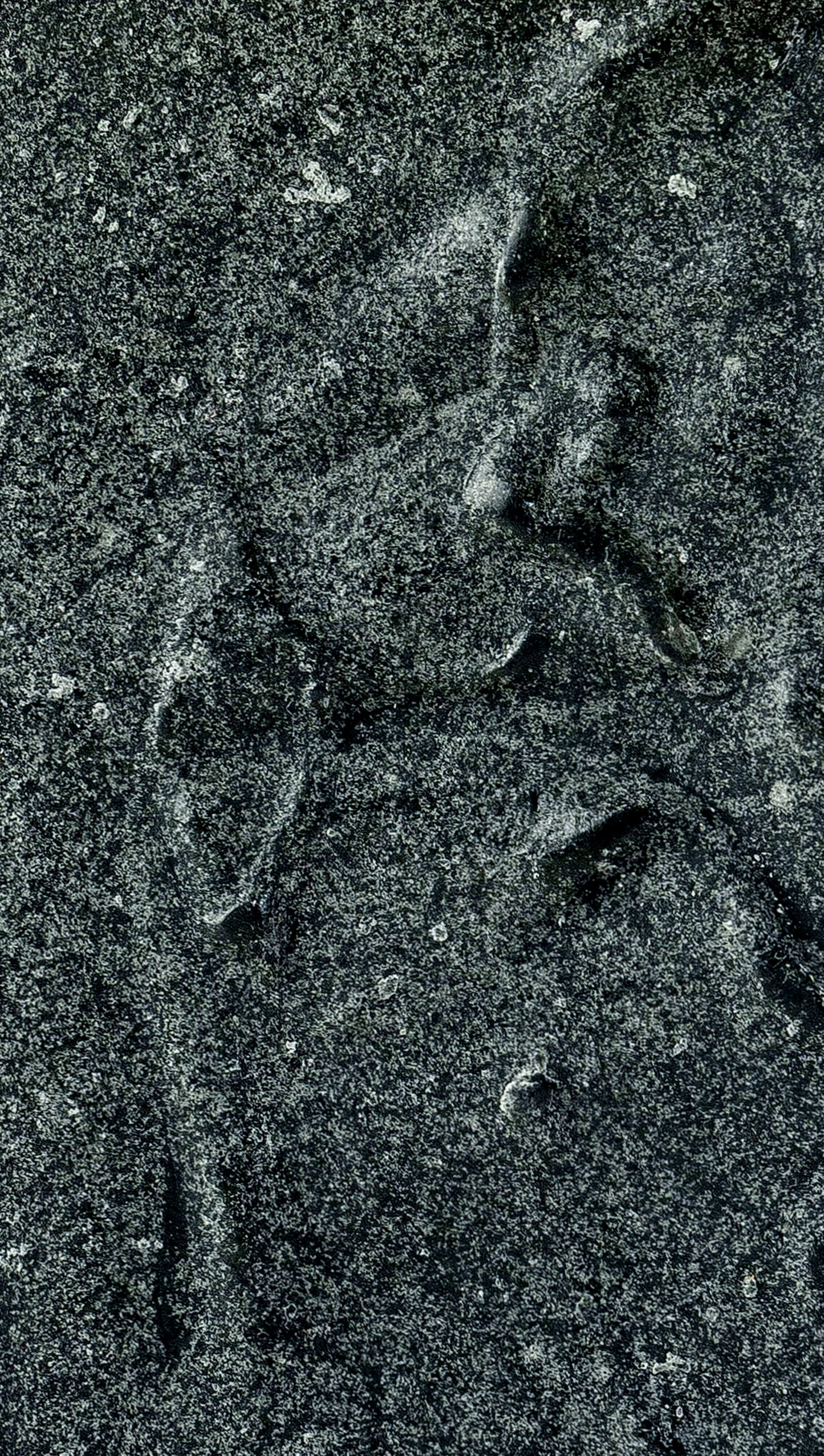 Detail of organic black body soap