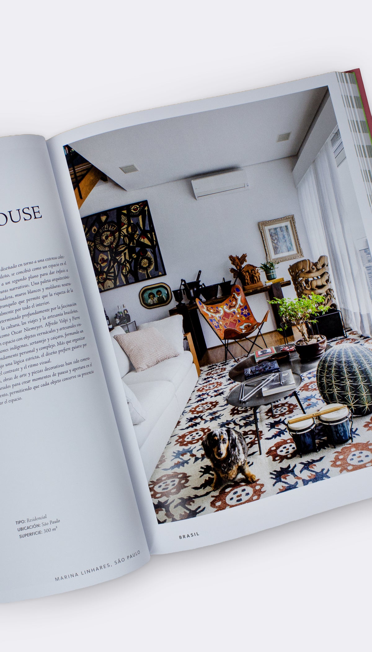 Interior Design in Latin America